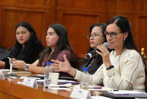 Pese a los esfuerzos, la violencia contra mujeres y niñas sigue: Isabel Sánchez Holguín